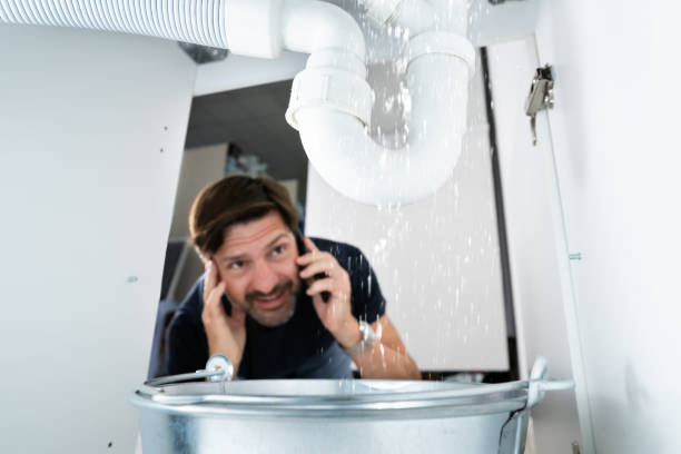 Best Plumbing Inspection Services  in Pollock Pines, CA